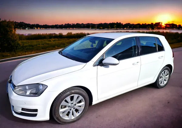 volkswagen Volkswagen Golf cena 38500 przebieg: 126000, rok produkcji 2015 z Sompolno